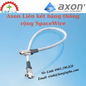 Liên kết băng thông rộng SpaceWire