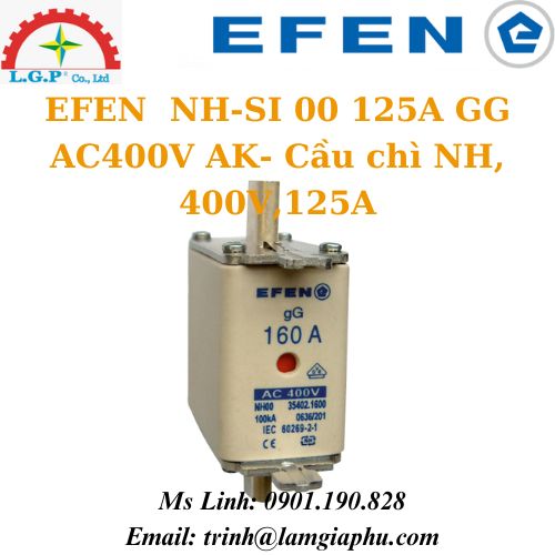 EFEN NH-SI 00 125A GG AC400V AK- Cầu chì NH, 400V,125A NH-SI 00 125A GG AC400V AK- Cầu chì NH, 400V,125A