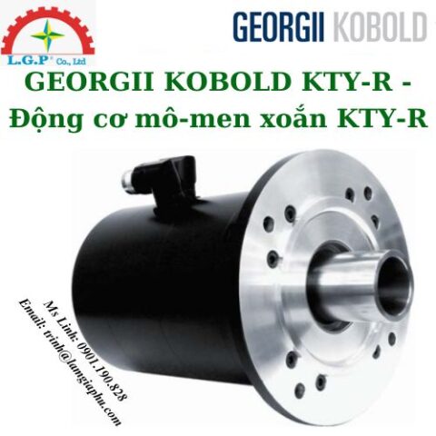 Động cơ mô-men xoắn KTY-R