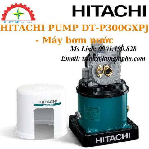 DT-P300GXPJ - Máy bơm nước